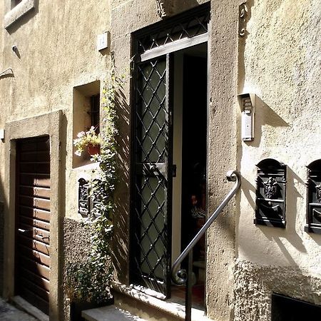 La Quiete Alloggio Turistico Viterbo Quarto foto